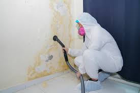 Best Residential Mold Inspection & Testing in Lakewood, CA